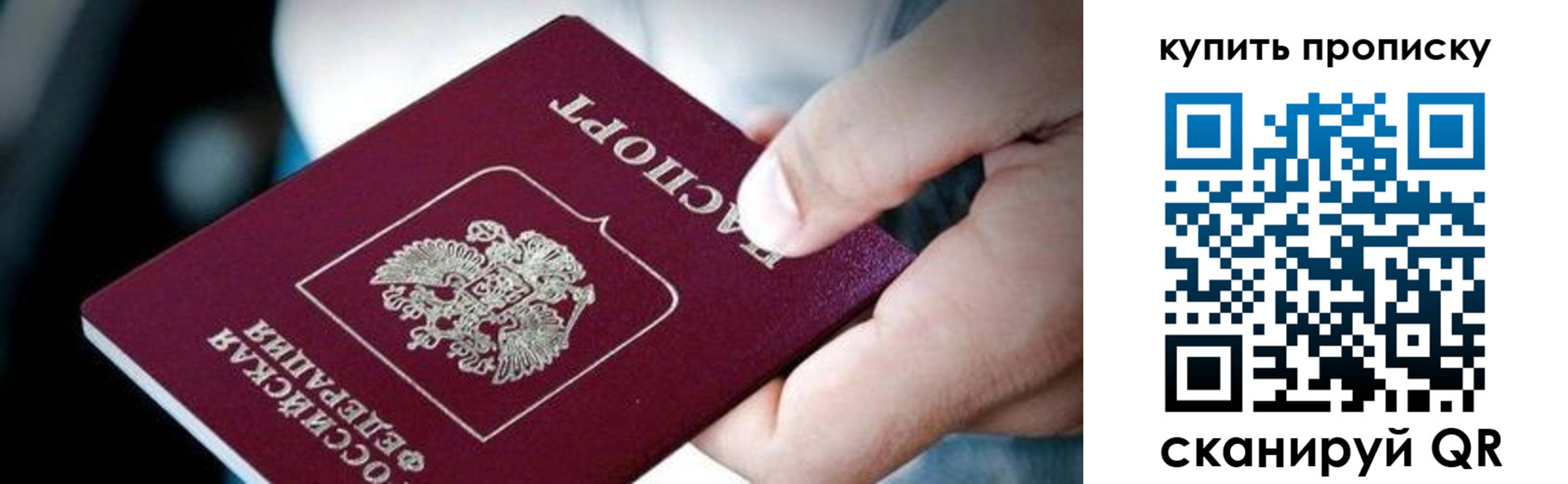 прописка поиск в Соколе